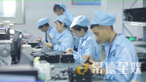 桃源培優“兩主兩特”產業，以信息技術咨詢服務助力挺進全省十強縣