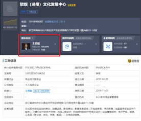 王思聰再被限制消費，計算機軟件技術開發背后的法律警示